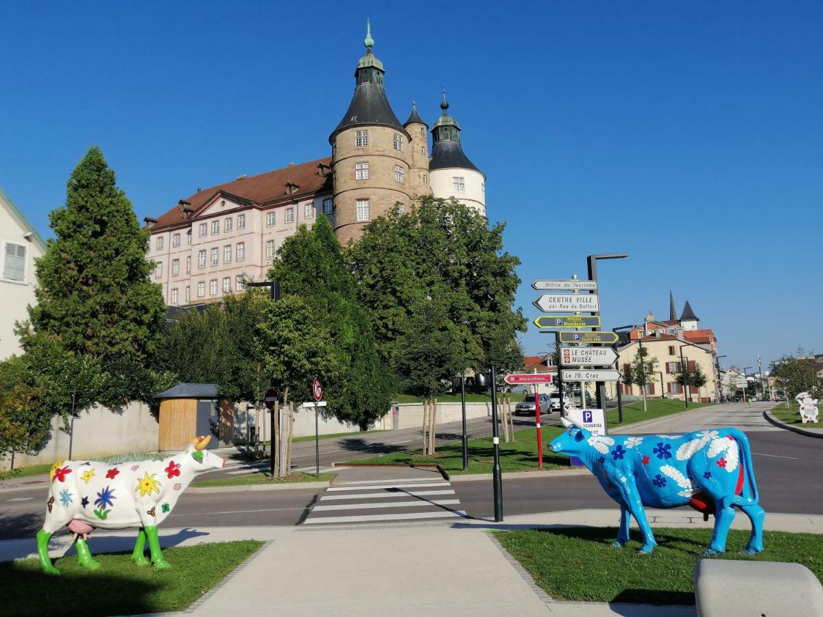 Apartament Le Petit Velotte - Un Cocon En Coeur De Ville Montbéliard Zewnętrze zdjęcie